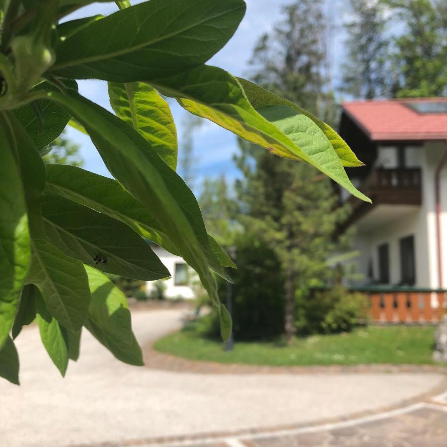 Apartament Waldhaus Hinterstoder Zewnętrze zdjęcie